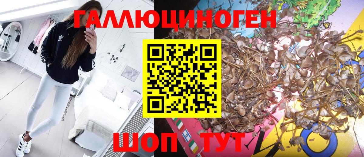 Псилоцибиновые грибы MAGIC MUSHROOMS  Вход с VPN  Галлюциногенные грибы Psilocybine cubensis  Кувандык 